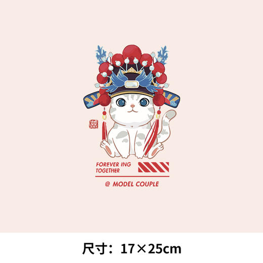 亲子卡通图案恐龙宝宝中国风戏曲国潮猫热转印烫画贴衣服定做 商品图1