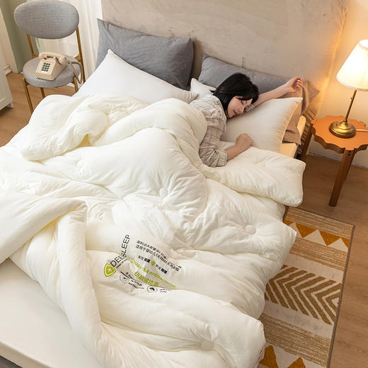 A类仿鹅绒抗菌被冬被春秋被被芯 商品图5