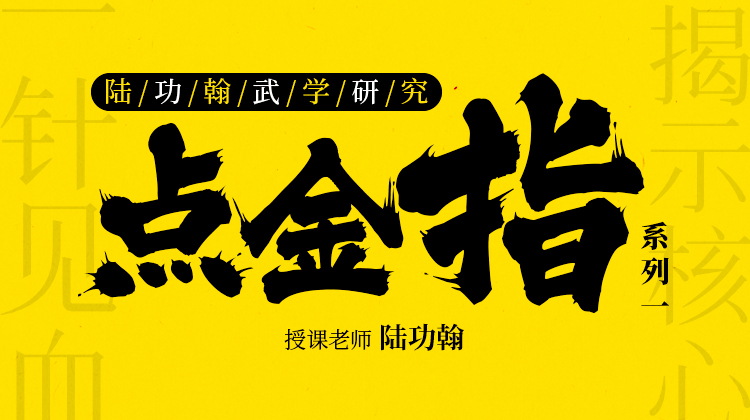 陆功翰武学研究——【点金指系列】（一）