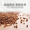 庄民 黑苦荞茶 全胚芽大颗粒 精选花草茶叶泡水180g/罐 商品缩略图4