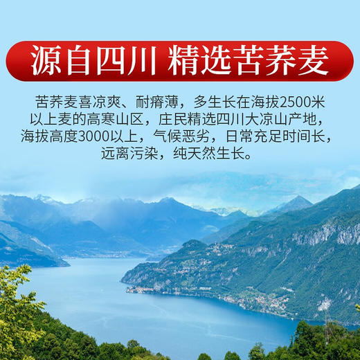 庄民 黑苦荞茶 全胚芽大颗粒 精选花草茶叶泡水180g/罐 商品图5