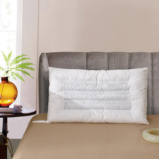 全棉决明子学生枕 商品图0