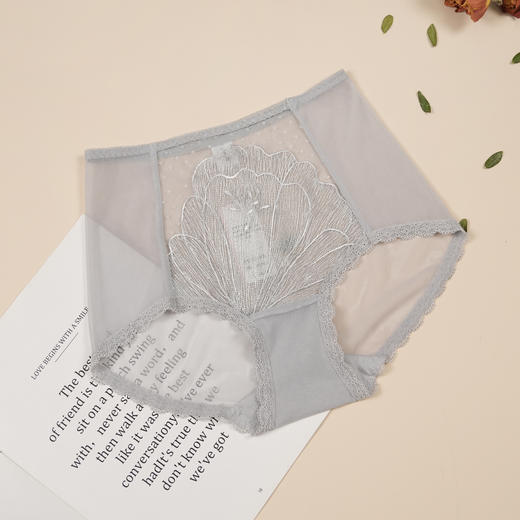 5F-Ahpeena爱比娜内裤 商品图1