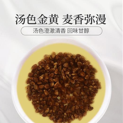 庄民 黑苦荞茶 全胚芽大颗粒 精选花草茶叶泡水180g/罐 商品图3