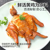 温氏供港鲜熟豉油好味鸡1斤 110天散养土鸡走地鸡 冷冻豉油鸡卤味熟食 商品缩略图1