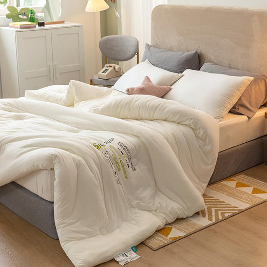 A类仿鹅绒抗菌被冬被春秋被被芯 商品图8
