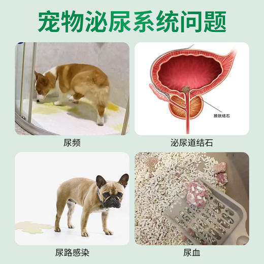 德国 cdVet 施德维特 尿道结石护理粉 30g 商品图1