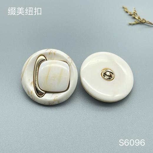 S6096 商品图1