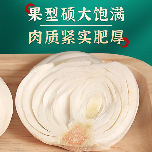 丨有机丨甘肃9年生甜百合  国家地标 0度保鲜2个月 商品图1