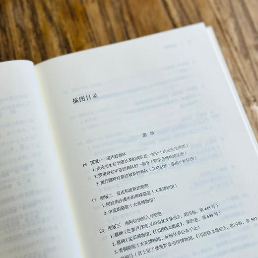 商队城市（二十世纪人文译丛） [美]M.罗斯托夫采夫 著 马百亮 译 商务印书馆 商品图3