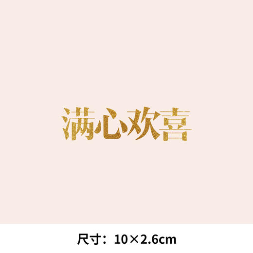 米奇小熊爱心型情侣卡通人物热转印烫画贴图纸T恤转印衣服贴纸 商品图1