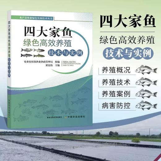 鳜鱼 四大家鱼 河蟹 鲫鱼  绿色高效养殖技术与实例 商品图1