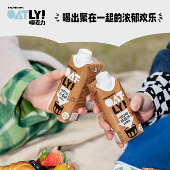 OATLY噢麦力 巧克力味燕麦奶 植物蛋白饮料谷物 250ml*18 商品图5