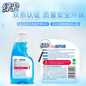 绿伞玻璃净亮水 玻璃车窗清洗剂 不留水痕去污防尘500g*2瓶