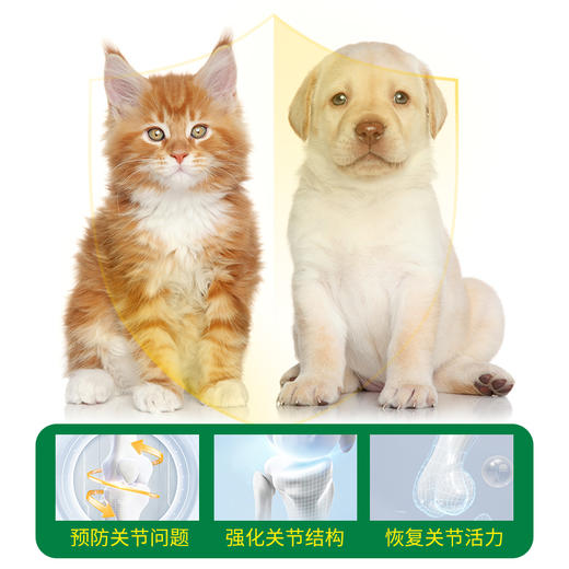宠物营养补充剂 关节营养粉 1盒（100g*6罐） 商品图2