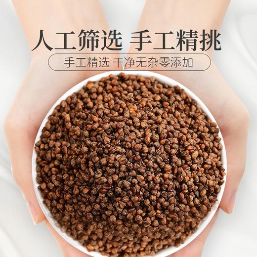 庄民 黑苦荞茶 全胚芽大颗粒 精选花草茶叶泡水180g/罐 商品图2