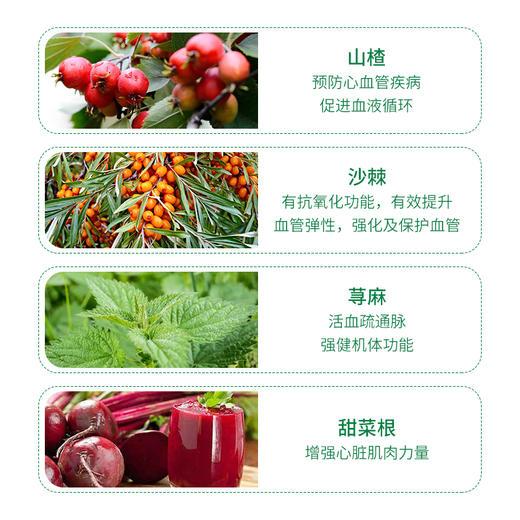 德国 cdVet 施德维特 心脏活力粉 70g 商品图3