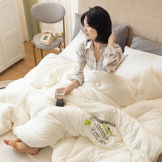 A类仿鹅绒抗菌被冬被春秋被被芯 商品图3