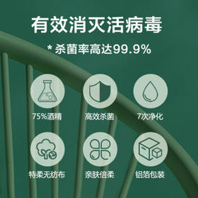 顺清柔湿巾80片*1包 75%酒精抽取式一次性清洁湿纸巾无香单包装