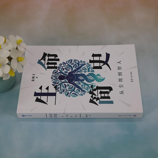 生命简史 从尘埃到智人 朱钦士 著 科普读物 商品图2