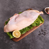温氏精切半边鸭1.7斤 冷冻农养土鸭农家生态慢养 半片鸭肉生鲜 商品缩略图3