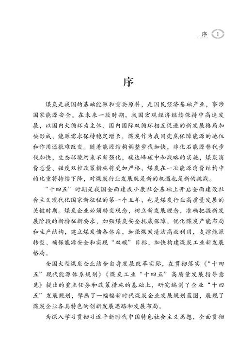 煤炭企业“十四五”发展战略规划蓝皮书 商品图1