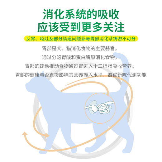 德国 cdVet 施德维特 胃利宝营养粉 100g 商品图2