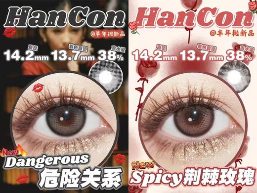 hancon 半年抛 危阝佥关系 直径14.2mm着色13.7mm 商品图0