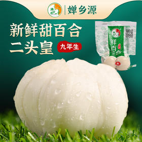 丨有机丨甘肃9年生甜百合  国家地标 0度保鲜2个月