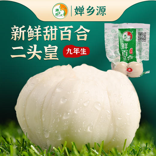 丨有机丨甘肃9年生甜百合  国家地标 0度保鲜2个月 商品图0