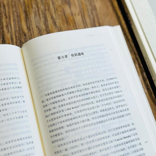 商队城市（二十世纪人文译丛） [美]M.罗斯托夫采夫 著 马百亮 译 商务印书馆 商品图6