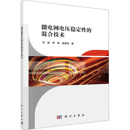 微电网电压稳定性的混合技术 商品图0