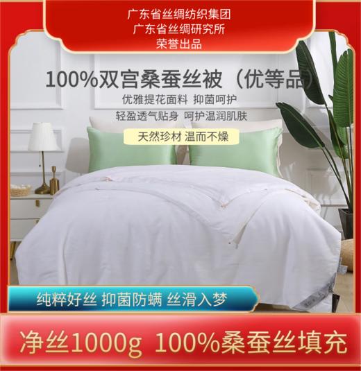 雪韵100%桑蚕丝被（纯棉 提花 内胆套） 商品图0