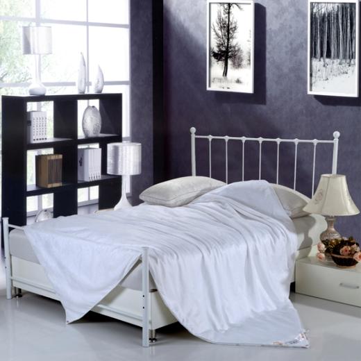 雪韵100%桑蚕丝被（纯棉 提花 内胆套） 商品图1