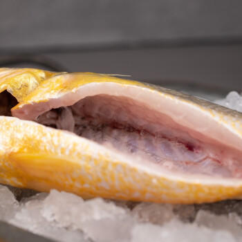 1号会员店（One's Member）【山姆同厂】冷冻宁德三去黄花鱼 大黄鱼700g/2条装 生鲜水产鱼类 商品图5