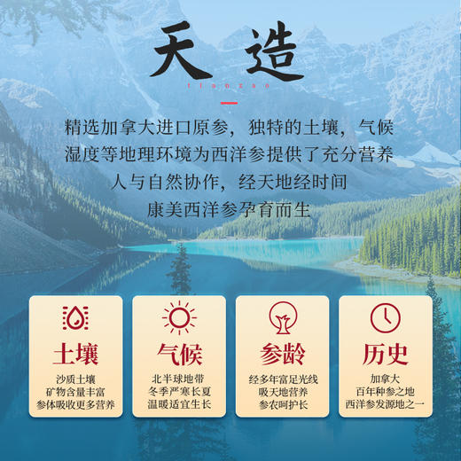 康美药业西洋参片60g/盒 加拿大进口西洋参切片 红盒玻璃罐礼盒装 商品图1