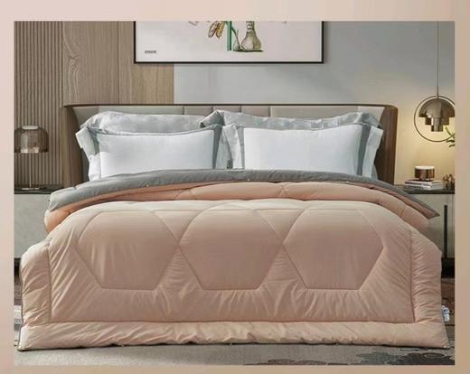 【爆】【6F】富安娜卓尔新西兰100%羊毛春秋被  米色&灰色双面撞色，吊牌价1280元，活动价299元 商品图5