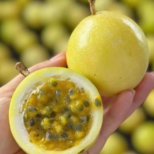 【钦果9号黄金百香果】不用加蜂蜜的百香果，甘甜如蜜，可做清凉饮料 商品图13