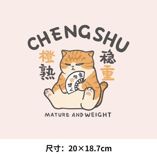 卡通猫和老鼠热转印烫画贴图纸卫衣转印衣服贴纸定做定制新款图案 商品图3