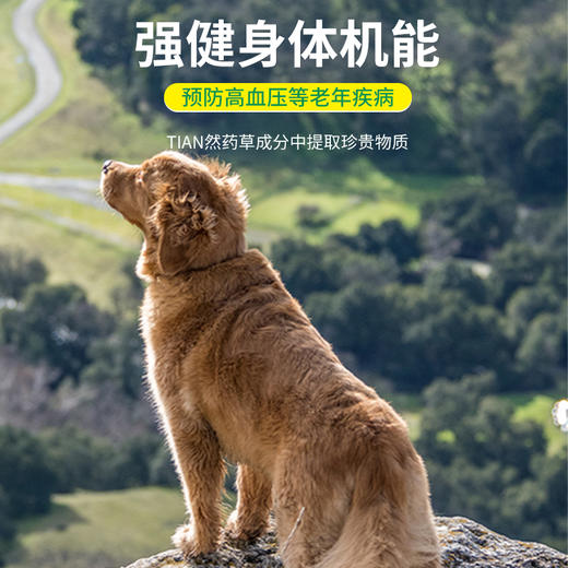 德国 cdVet 施德维特 高龄犬营养粉 70g 商品图3
