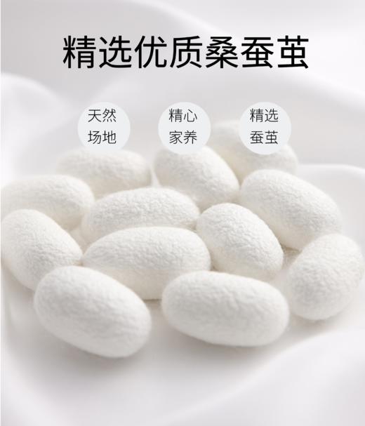 雪韵100%桑蚕丝被（纯棉 提花 内胆套） 商品图3