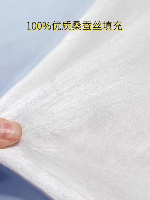 雪韵100%桑蚕丝被（纯棉 提花 内胆套） 商品图2