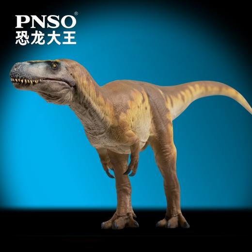 PNSO巨齿龙爱德华恐龙大王成长陪伴模型74 商品图4