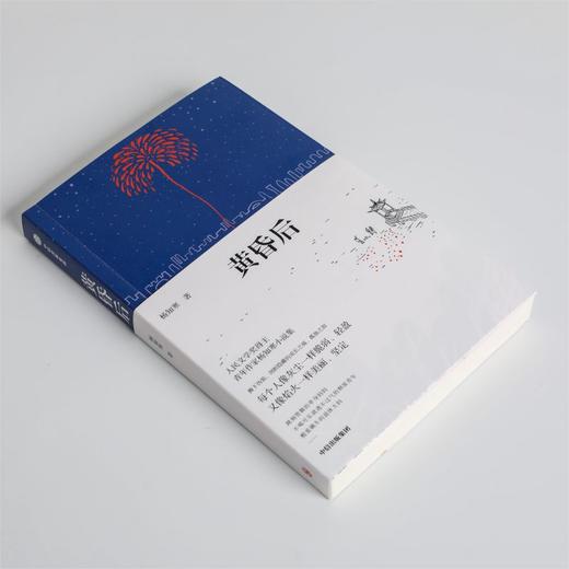 黄昏后 杨知寒 著 文学 商品图2