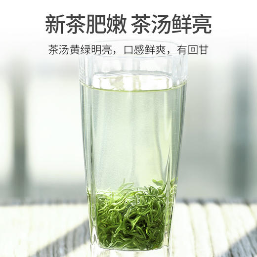 2026新茶 碧螺春茶叶明前早春绿茶精品特级嫩芽100g*2罐 商品图3