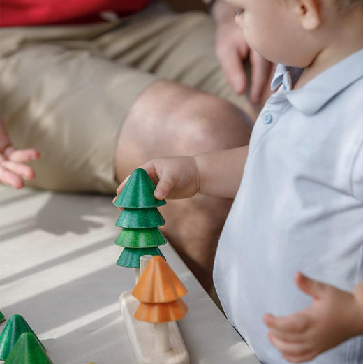 plan toys5403挪威森林叠叠乐 商品图3