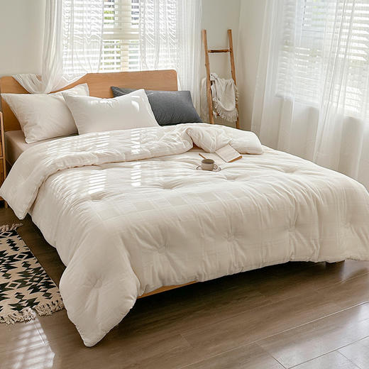 【原棉民宿被子】提花大格大豆被芯白色柔软被子全棉原棉民宿被子学生 商品图3