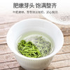 2026新茶 毛尖绿茶明前早春高山嫩芽精品特级100g*2罐 商品缩略图5