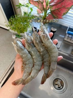  全年龄段吃货必选，全网最低价，开启奢华深海大虾盛宴！ 