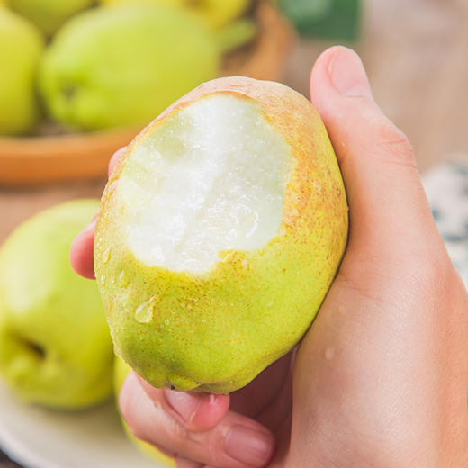 【红香酥梨】山西运城 红香酥梨 新鲜水果 商品图2